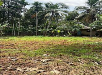 Residential Land for Sale in Trivandrum, Thiruvananthapuram, Pongumoodu, TVM Archana Nagar, Near Alamcode bridge
