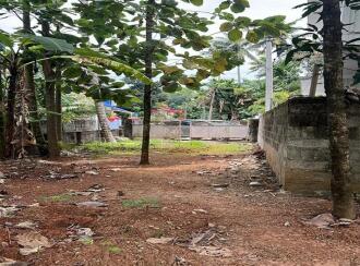 Residential Land for Sale in Trivandrum, Thiruvananthapuram, Pongumoodu, TVM Archana Nagar, Near Alamcode bridge