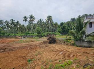 Residential Land for Sale in Thrissur, Mannuthy, Nadathara, kozhukully