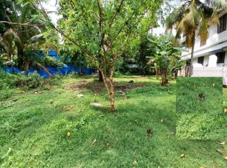 Residential Land for Sale in Ernakulam, Paravur, Kaitharam, kottuvalli