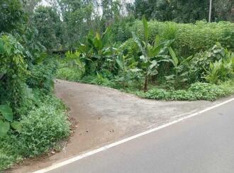 Residential Land for Sale in Pathanamthitta, Mallappally, Palackathakidi