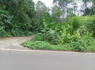 Residential Land for Sale in Pathanamthitta, Mallappally, Palackathakidi