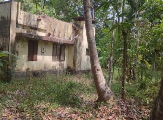 Commercial Land for Sale in Kottayam, Vaikom, Kariyar, Attara palam