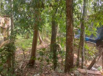 Commercial Land for Sale in Kottayam, Vaikom, Kariyar, Attara palam