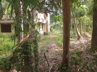 Commercial Land for Sale in Kottayam, Vaikom, Kariyar, Attara palam