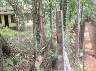 Commercial Land for Sale in Kottayam, Vaikom, Kariyar, Attara palam