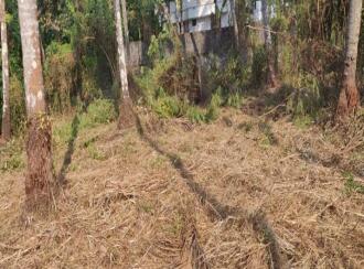 Residential Land for Sale in Thrissur, Thrissur, Manakkody, Near Al Azhar School