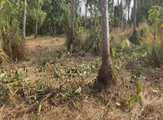 Residential Land for Sale in Thrissur, Thrissur, Manakkody, Near Al Azhar School