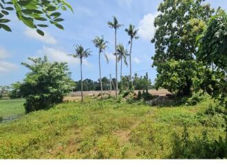 Commercial Land for Sale in Trivandrum, Attingal, Attingal, Attingal