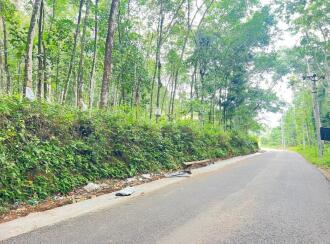 Residential Land for Sale in Pathanamthitta, Ranni, Nellikkamon