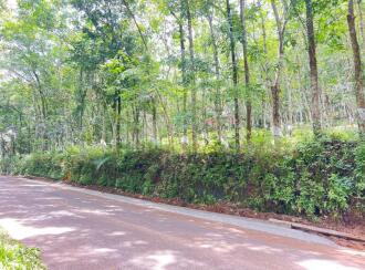 Residential Land for Sale in Pathanamthitta, Ranni, Nellikkamon