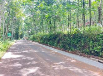 Residential Land for Sale in Pathanamthitta, Ranni, Nellikkamon