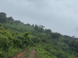 Agricultural Land for Sale in Malappuram, Malappuram, Malappuram, Thiruvali