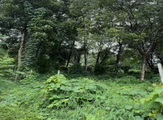 Agricultural Land for Sale in Malappuram, Malappuram, Malappuram, Thiruvali
