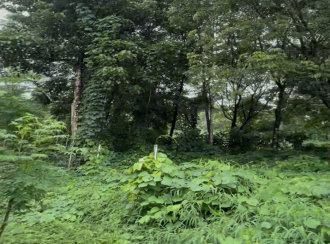 Agricultural Land for Sale in Malappuram, Malappuram, Malappuram, Thiruvali