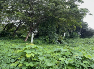 Agricultural Land for Sale in Malappuram, Malappuram, Malappuram, Thiruvali