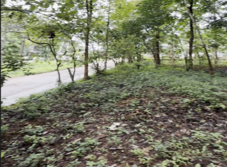 Commercial Land for Sale in Malappuram, Nilambur, Thiruvali