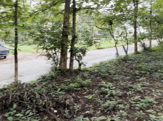 Commercial Land for Sale in Malappuram, Nilambur, Thiruvali