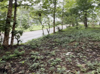 Commercial Land for Sale in Malappuram, Nilambur, Thiruvali