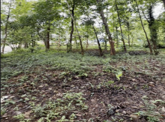 Commercial Land for Sale in Malappuram, Nilambur, Thiruvali