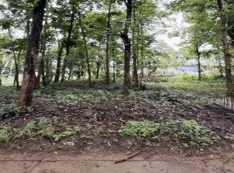 Commercial Land for Sale in Malappuram, Nilambur, Thiruvali