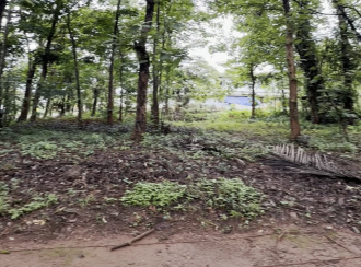 Commercial Land for Sale in Malappuram, Nilambur, Thiruvali