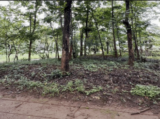 Commercial Land for Sale in Malappuram, Nilambur, Thiruvali