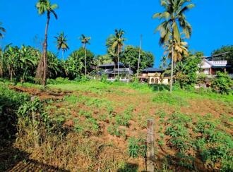 Residential Land for Sale in Kollam, Punalur, Mathra