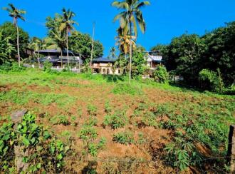 Residential Land for Sale in Kollam, Punalur, Mathra