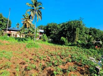 Residential Land for Sale in Kollam, Punalur, Mathra