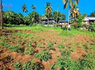 Residential Land for Sale in Kollam, Punalur, Mathra