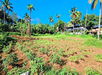 Residential Land for Sale in Kollam, Punalur, Mathra