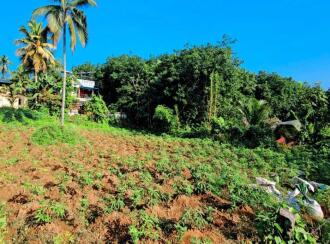 Residential Land for Sale in Kollam, Punalur, Mathra