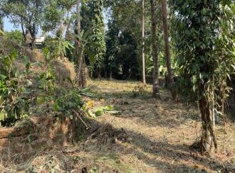 Residential Land for Sale in Kottayam, Kottayam town, Kanjikuzhy, Kanjikuzhy