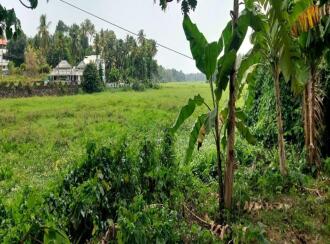 Residential Land for Sale in Ernakulam, Nedumbassery, Nedumbassery, Parambussery