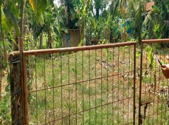 Residential Land for Sale in Ernakulam, Nedumbassery, Nedumbassery, Parambussery