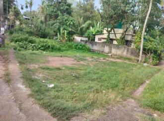 Residential Land for Sale in Kollam, Kollam, Elampalloor
