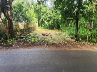 Residential Land for Sale in Kottayam, Pala, Cherpunkal