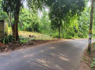 Residential Land for Sale in Kottayam, Pala, Cherpunkal