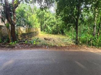 Residential Land for Sale in Kottayam, Pala, Cherpunkal
