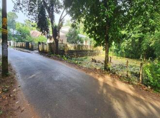 Residential Land for Sale in Kottayam, Pala, Cherpunkal