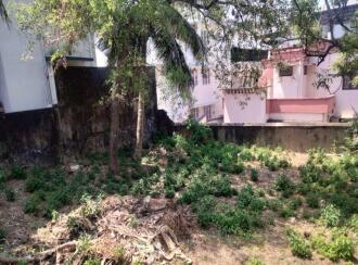 Residential Land for Sale in Trivandrum, Thycaud, Thycaud, Sangeeth Nagar,