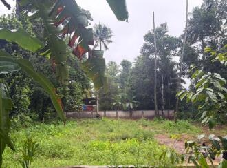 Residential Land for Sale in Thrissur, Irinjalakuda, Irinjalakuda, Vimal bhavan working women's hostel road