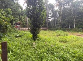 Residential Land for Sale in Thrissur, Irinjalakuda, Irinjalakuda, Vimal bhavan working women's hostel road