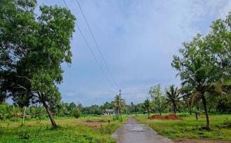 Residential Land for Sale in Alleppey, Haripad, Haripad, KV jetty road