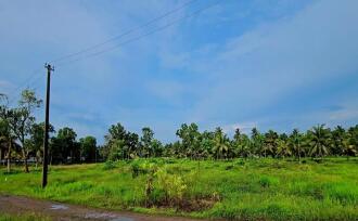 Residential Land for Sale in Alleppey, Haripad, Haripad, KV jetty road