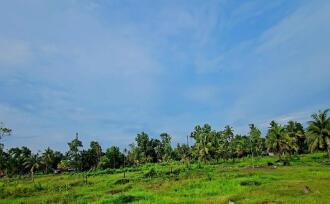 Residential Land for Sale in Alleppey, Haripad, Haripad, KV jetty road