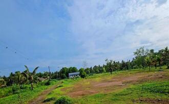 Residential Land for Sale in Alleppey, Haripad, Haripad, KV jetty road