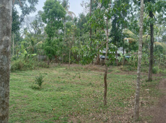 വാസയോഗ്യമായ ഭൂമി വില്പനയ്ക്ക് Kollam, Kottiyam, Kottiyam, Sithara JN
