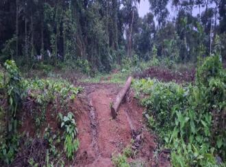 Residential Land for Sale in Ernakulam, Perumbavoor, Allapra, Kuttipadam